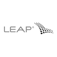 Webapper Services: Client - LEAP